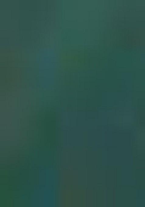 Green Printed Silk Saree