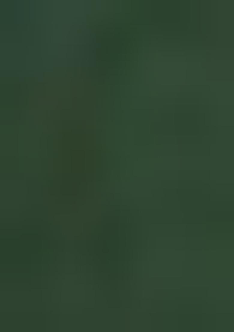 Green Embroidered Silk Saree Set - Indya