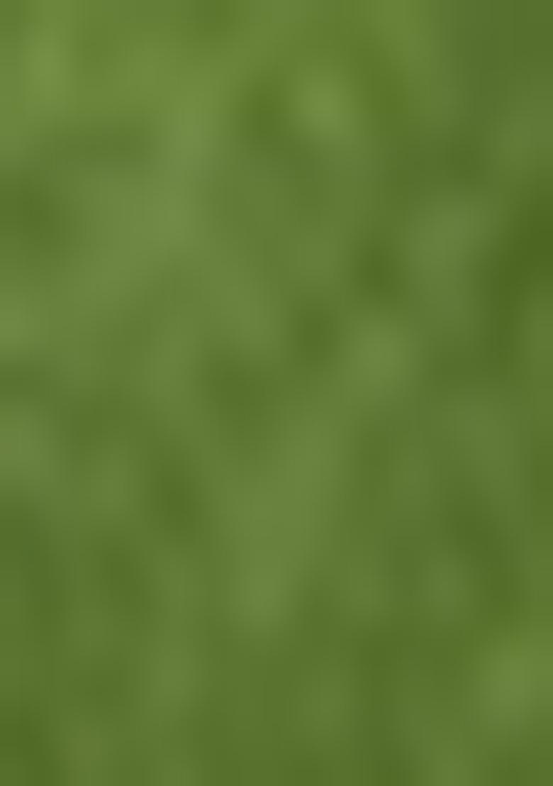 Olive Solid Silk Saree Set - Indya