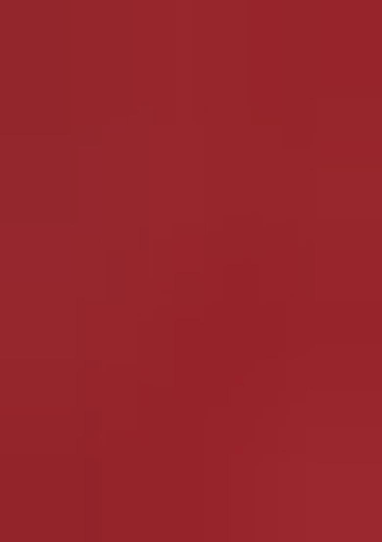 Red Zari Work Organza Saree Set