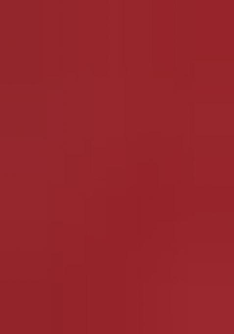 Red Zari Work Organza Saree Set