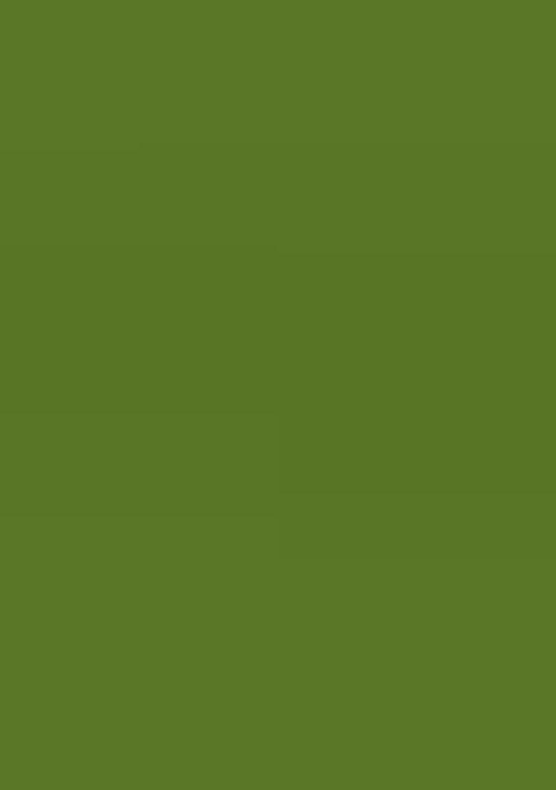 Green Zari Work Organza Saree Set