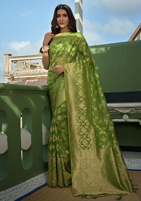 Green Zari Work Organza Saree Set