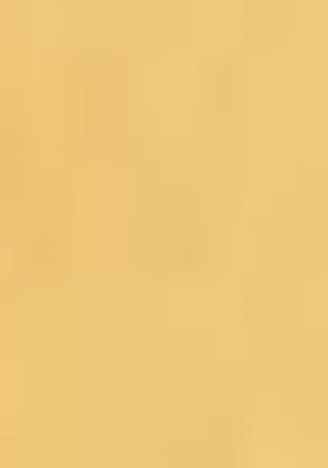 Yellow Embroidered Crepe Saree Set