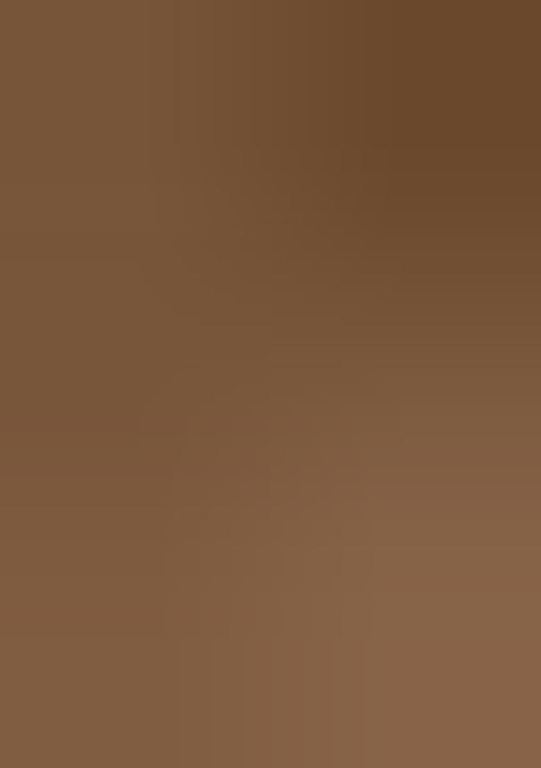 Brown Embroidered Organza Saree Set