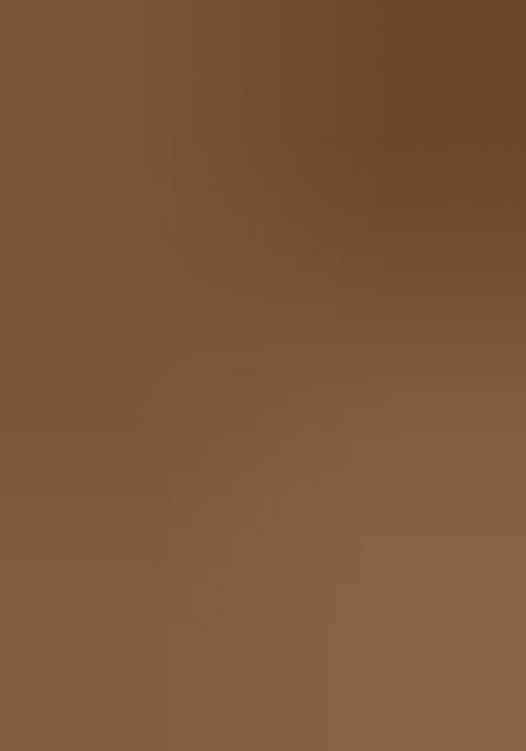 Brown Embroidered Organza Saree Set