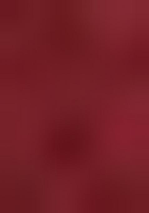 Wine Embroidered Organza Saree Set