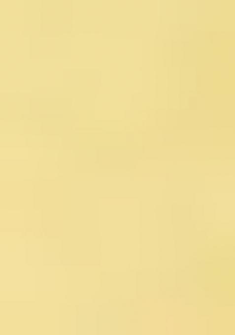 Multi Color Embroidered Georgette Saree Set