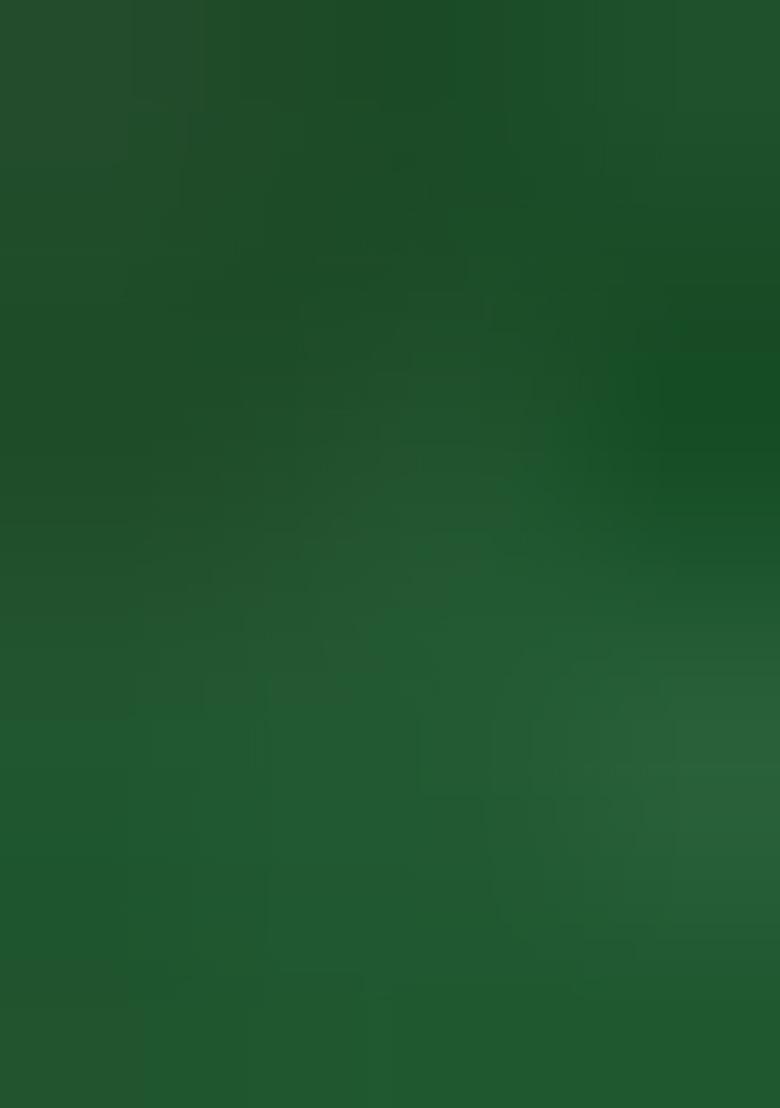 Multi Color Ikat Silk Saree Set