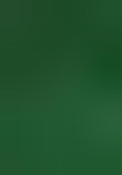 Multi Color Ikat Silk Saree Set