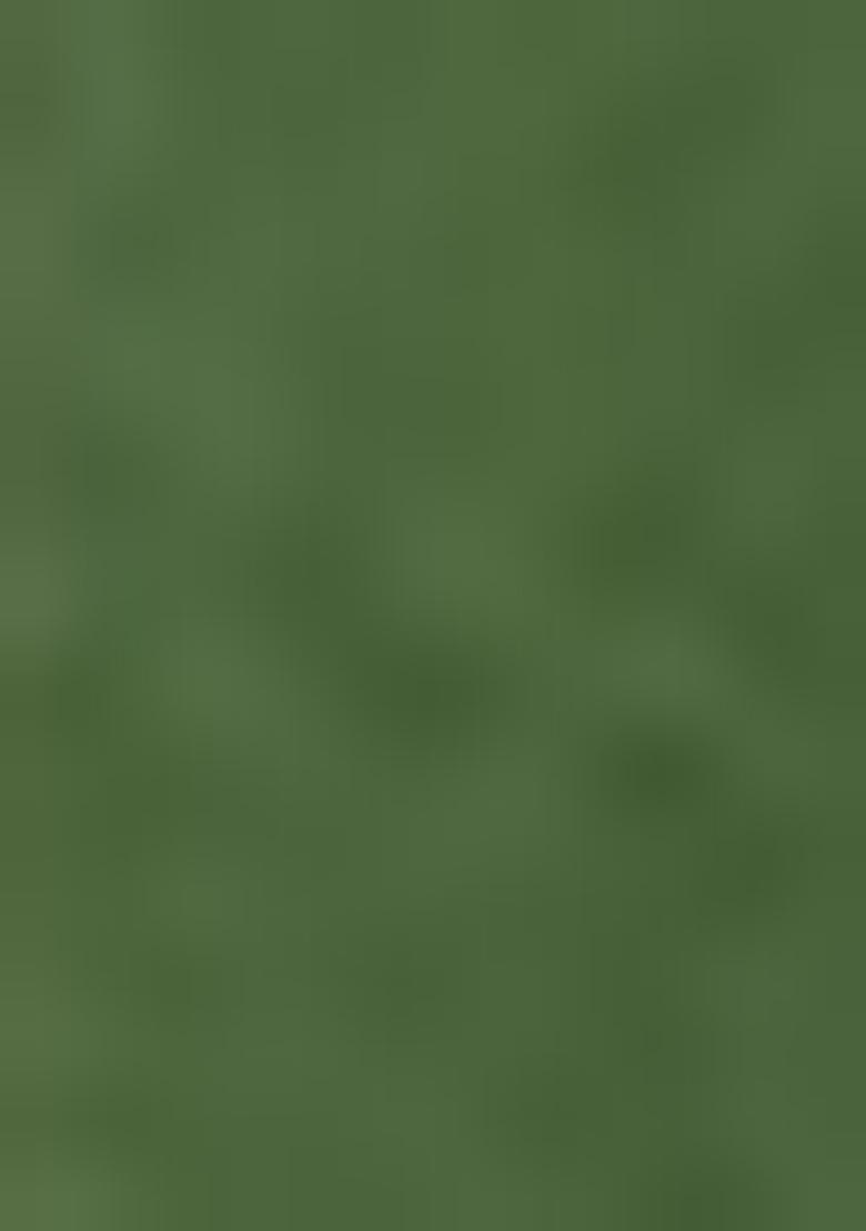 Mehendi Green Embroidered Silk Saree Set