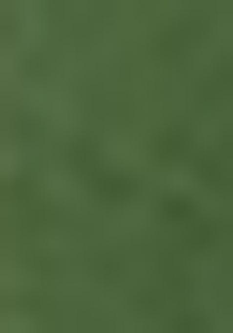 Mehendi Green Embroidered Silk Saree Set