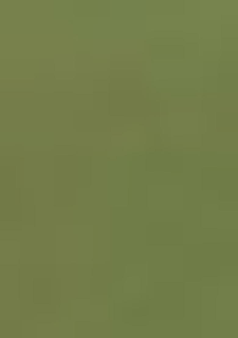 Mehendi Green Embroidered Silk Saree Set