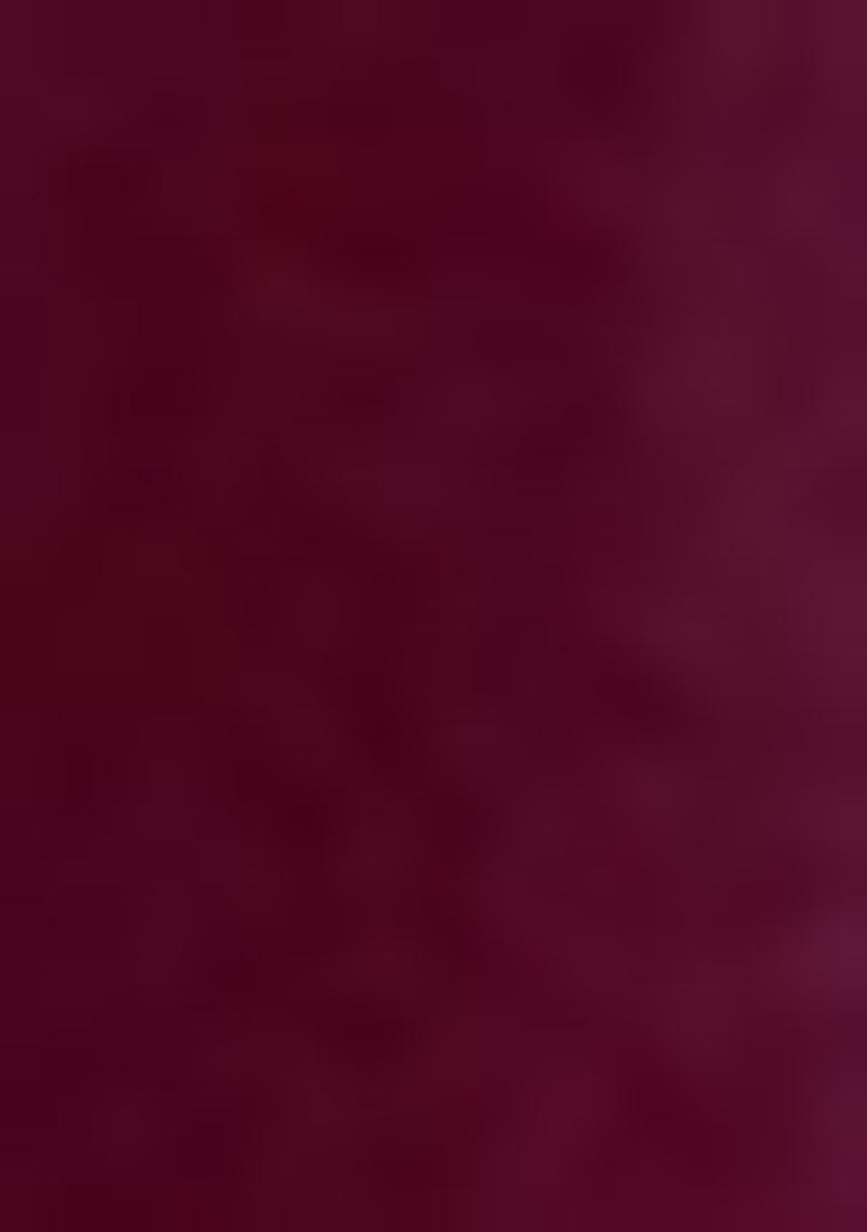 Wine Embroidered Silk Saree Set