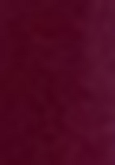 Wine Embroidered Silk Saree Set