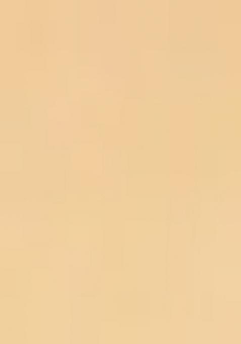 Light Yellow Heavy Jamdani Silk Orzanga Saree