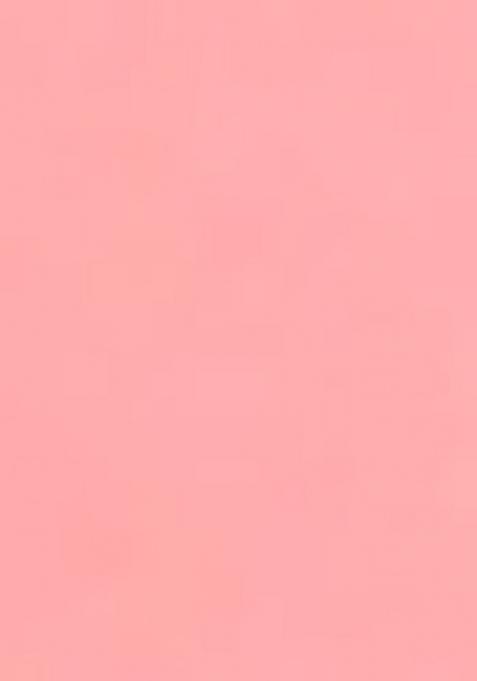 Light Pink Heavy Jamdani Silk Orzanga Saree