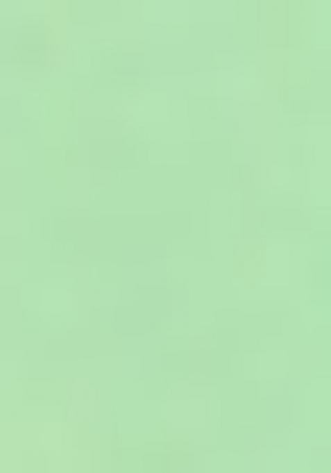 Light Green Heavy Jamdani Silk Orzanga Saree