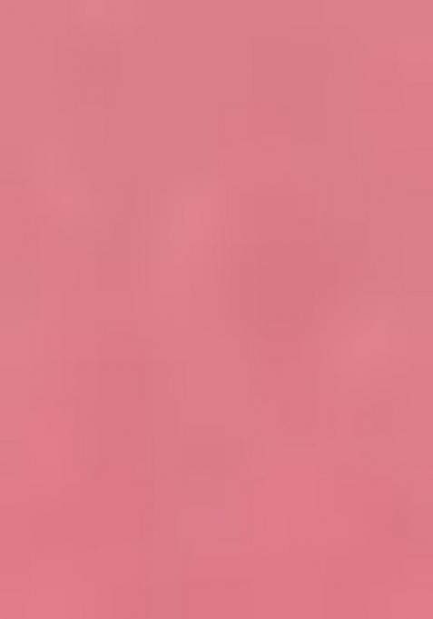 Peach Heavy Jamdani Silk Orzanga Saree