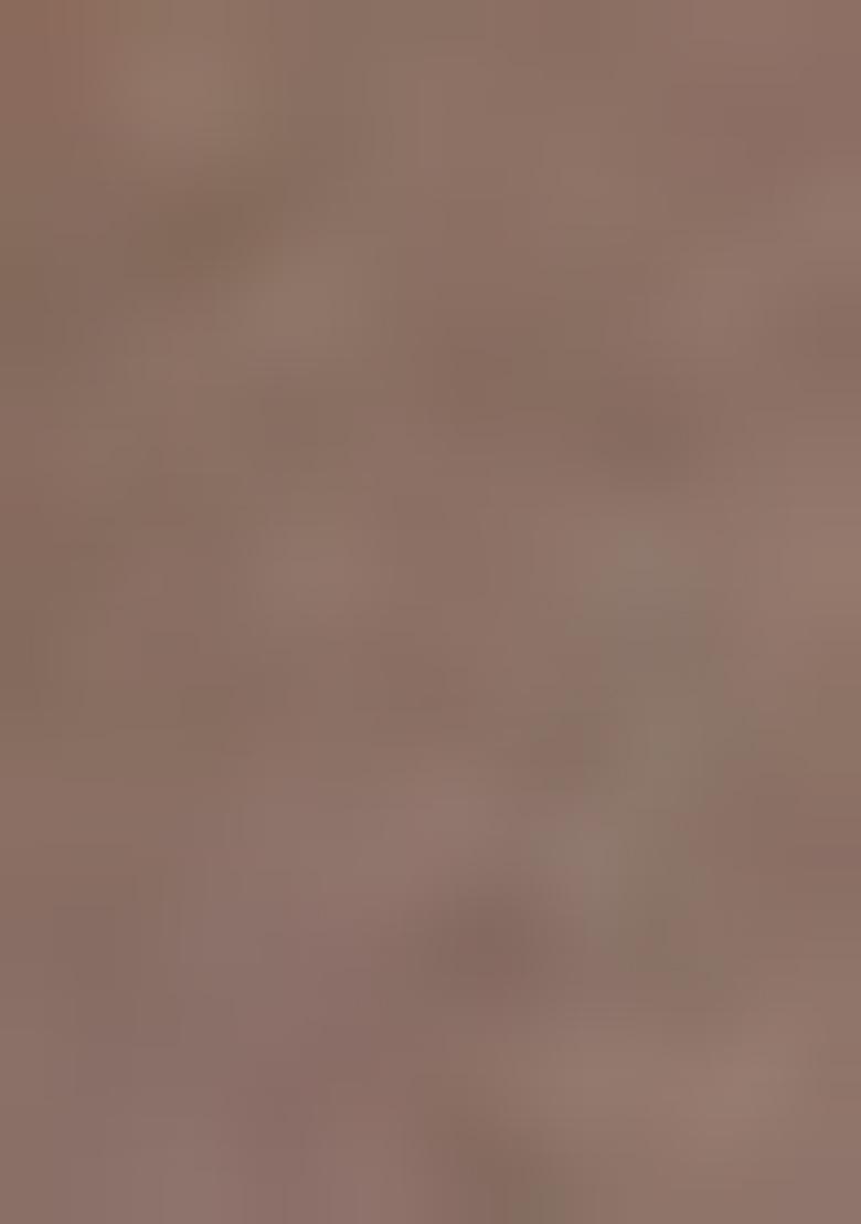 Mehendi Heavy Jamdani Silk Orzanga Saree