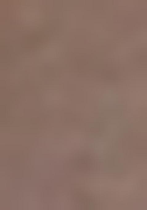 Mehendi Heavy Jamdani Silk Orzanga Saree