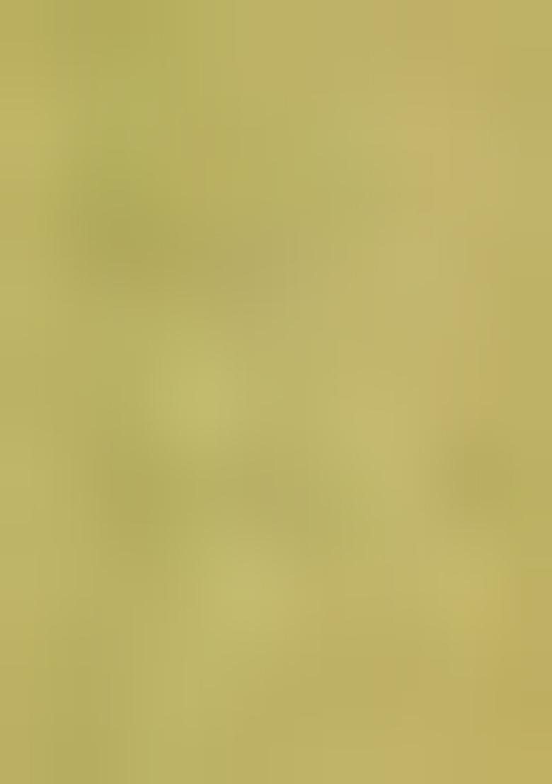 Green Heavy Jamdani Silk Orzanga Saree