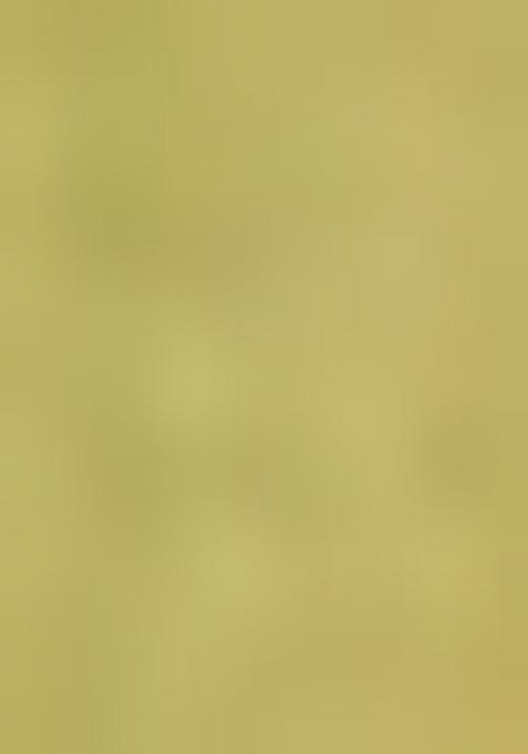 Green Heavy Jamdani Silk Orzanga Saree