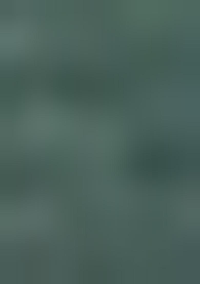 Green Heavy Chanderi Silk Saree