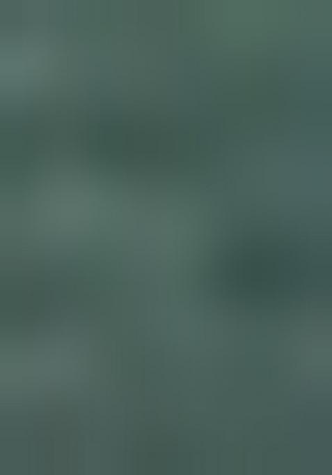 Green Heavy Chanderi Silk Saree