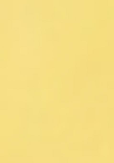 Light Yellow Heavy Jamdani Saree