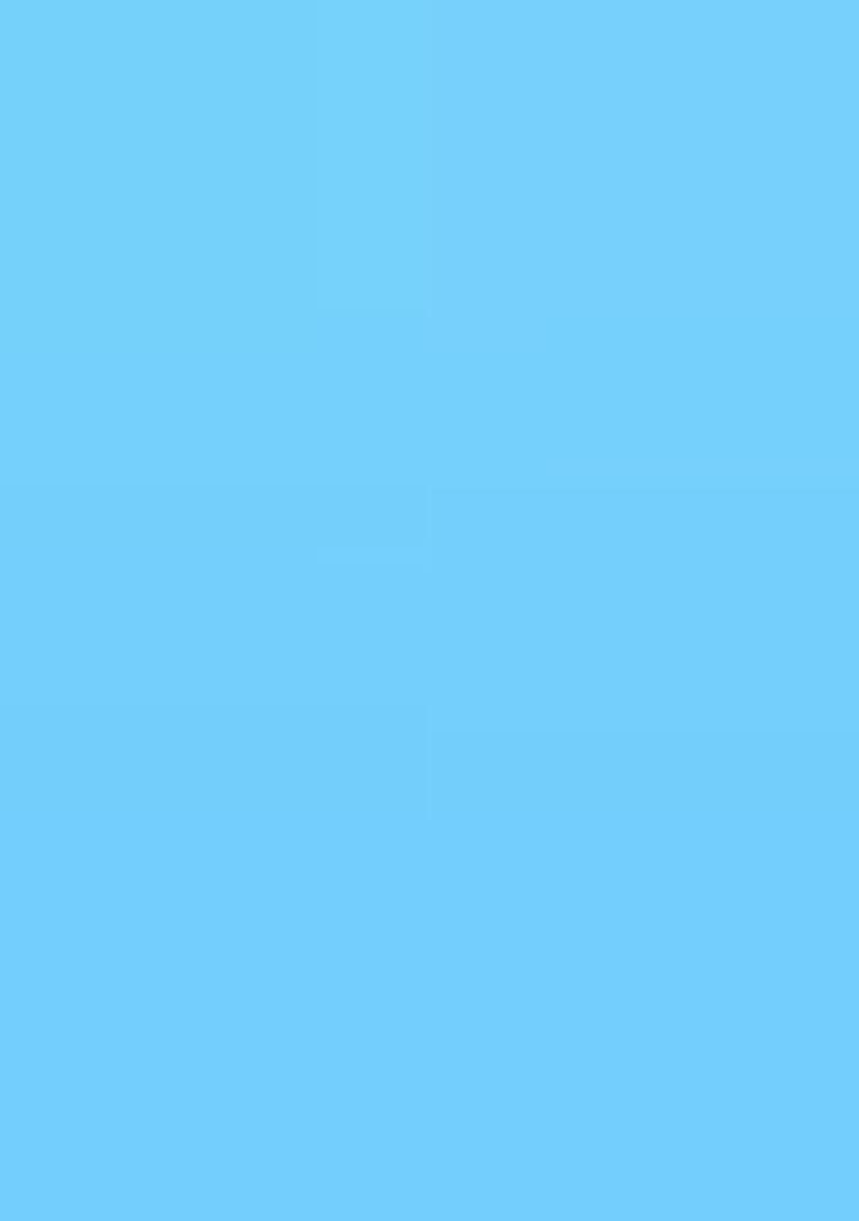 Sky Blue Heavy Jamdani Saree