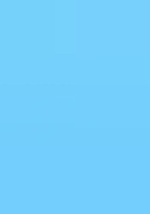 Sky Blue Heavy Jamdani Saree