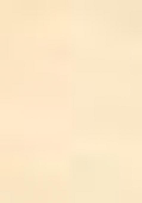 Beige Printed Linen Saree Set