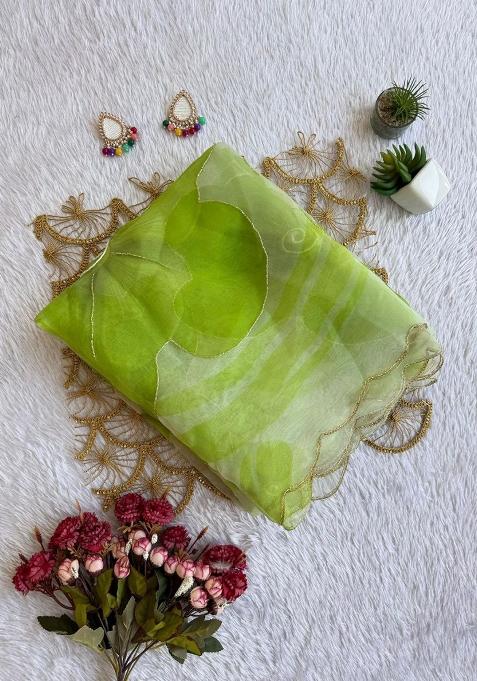 Pista Embroidered Organza Saree Set