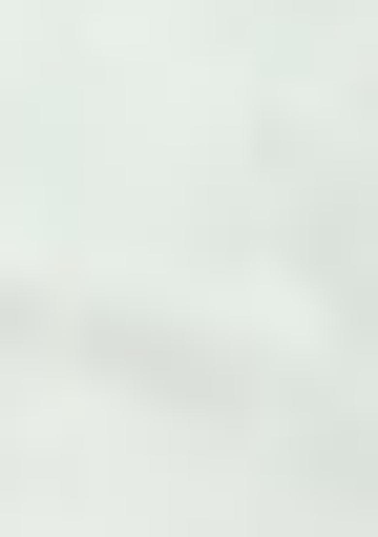 Silver Embroidered Tissue Saree Set