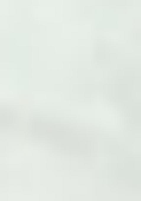 Silver Embroidered Tissue Saree Set