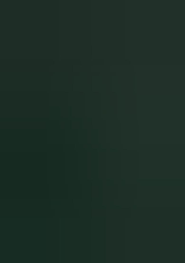 Green Embroidered Silk Saree Set - Indya