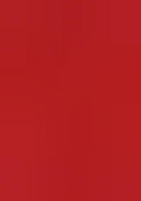 Red Floral Embroidery Cotton Saree Set