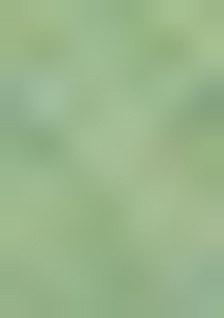 Light Green Floral Embroidery Cotton Saree