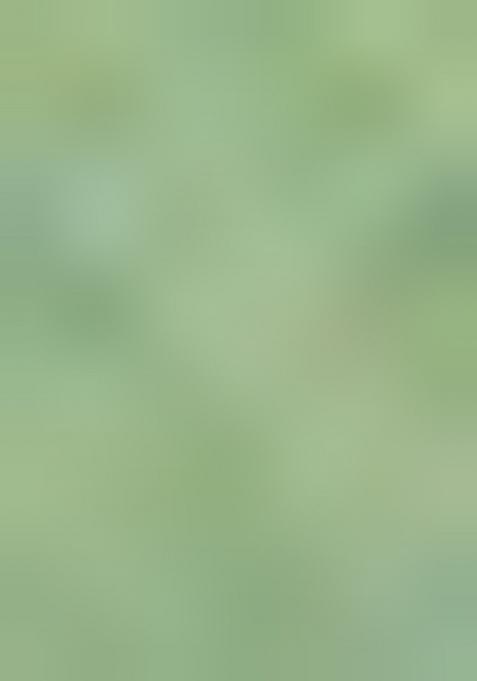 Light Green Floral Embroidery Cotton Saree