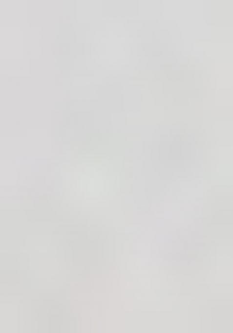 Silver Floral Embroidery Tissue Saree Set