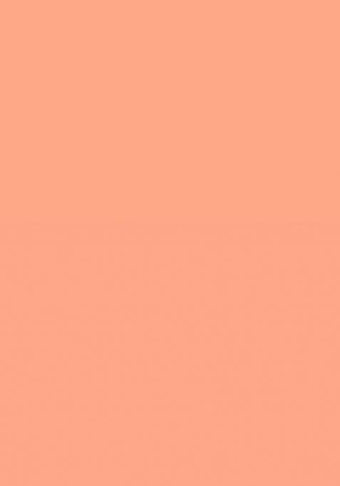 Beige Floral Embroidery Tissue Saree Set