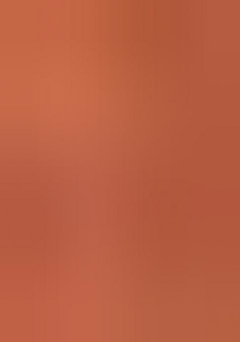 Brown Floral Embroidery Tissue Saree Set