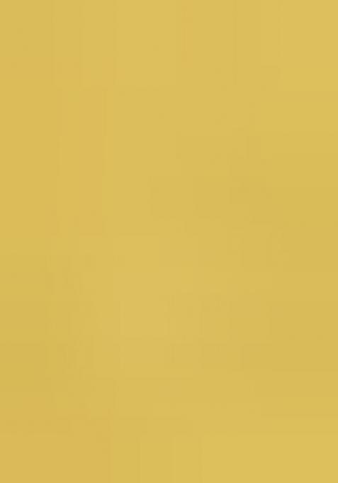 Pastel Green Floral Embroidery Cotton Saree