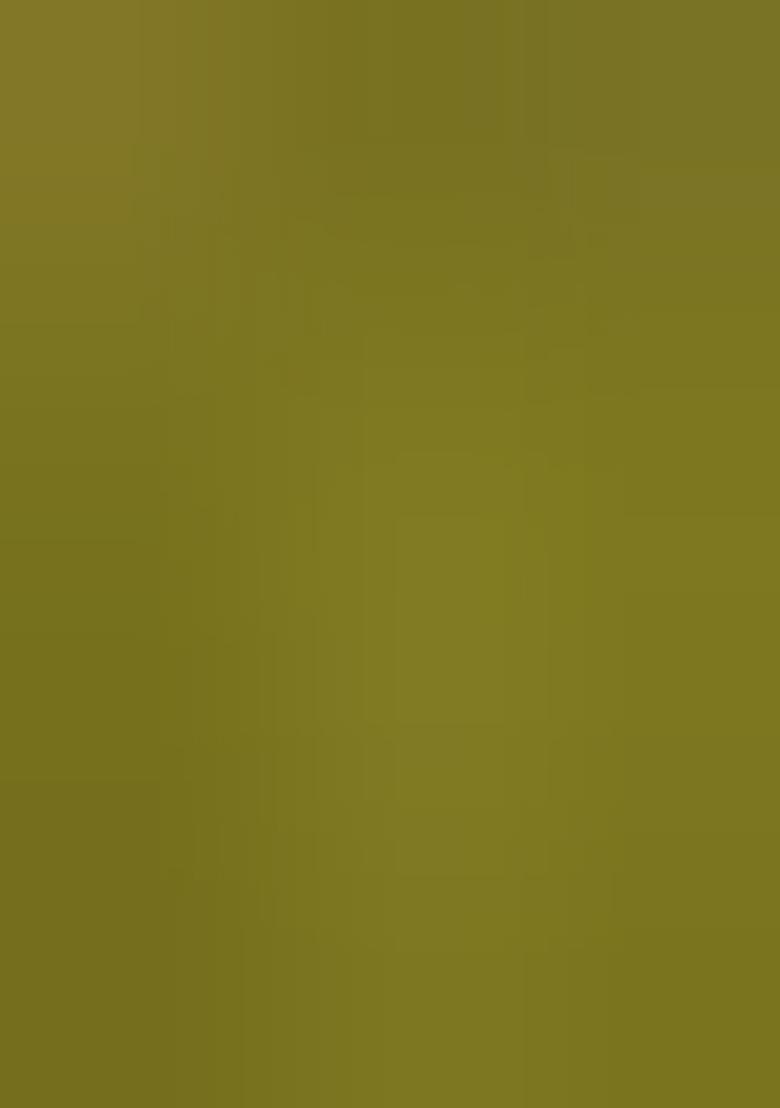 Olive Green Floral Embroidery Mulmul Saree Set