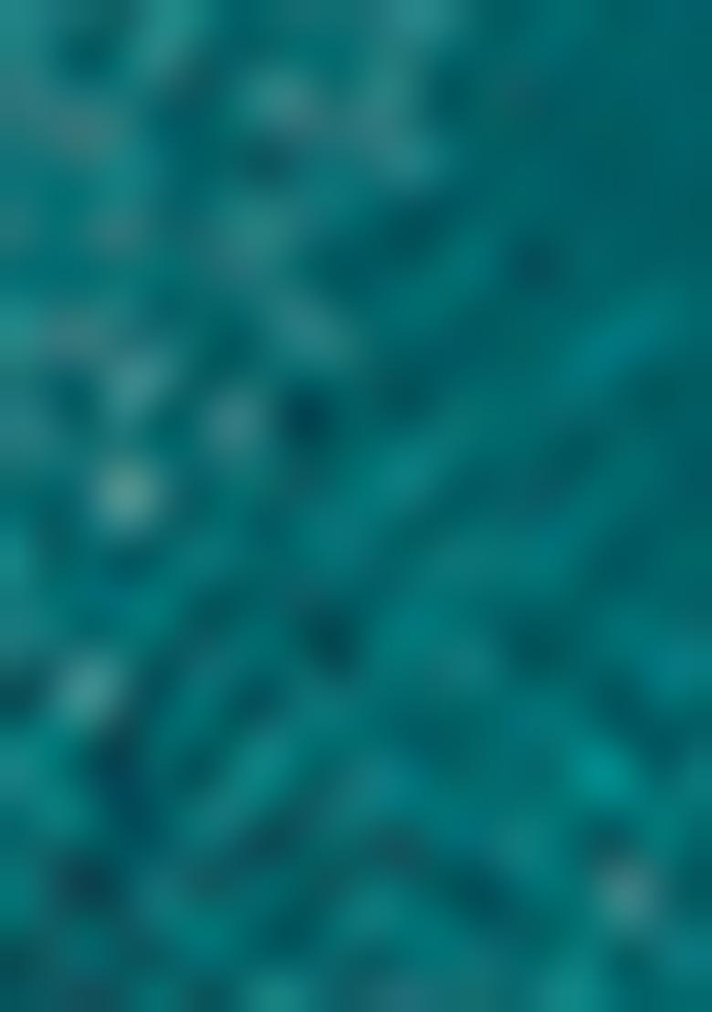 Rama Embrodery Work Silk Saree Set