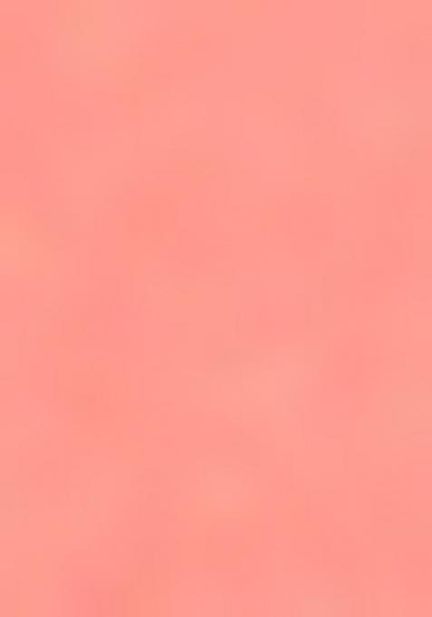 Peach Perrot Green Embrodery Work Silk Saree Set