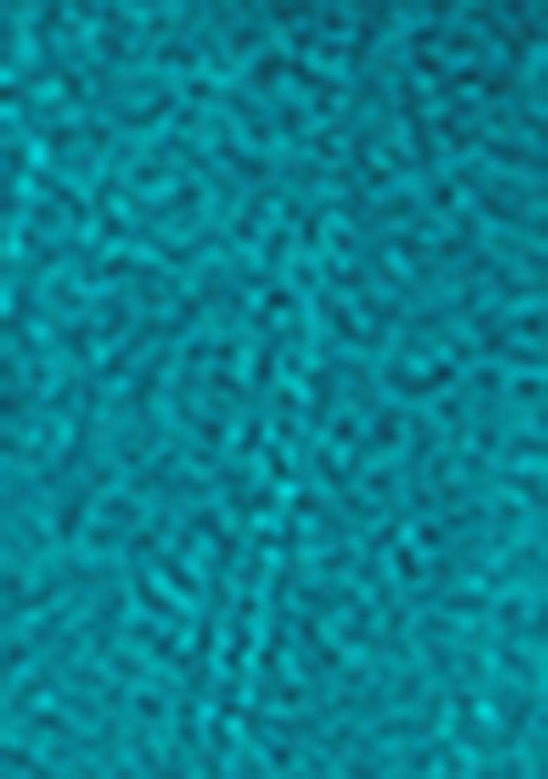 Rama Embrodery Work Silk Saree Set - Indya