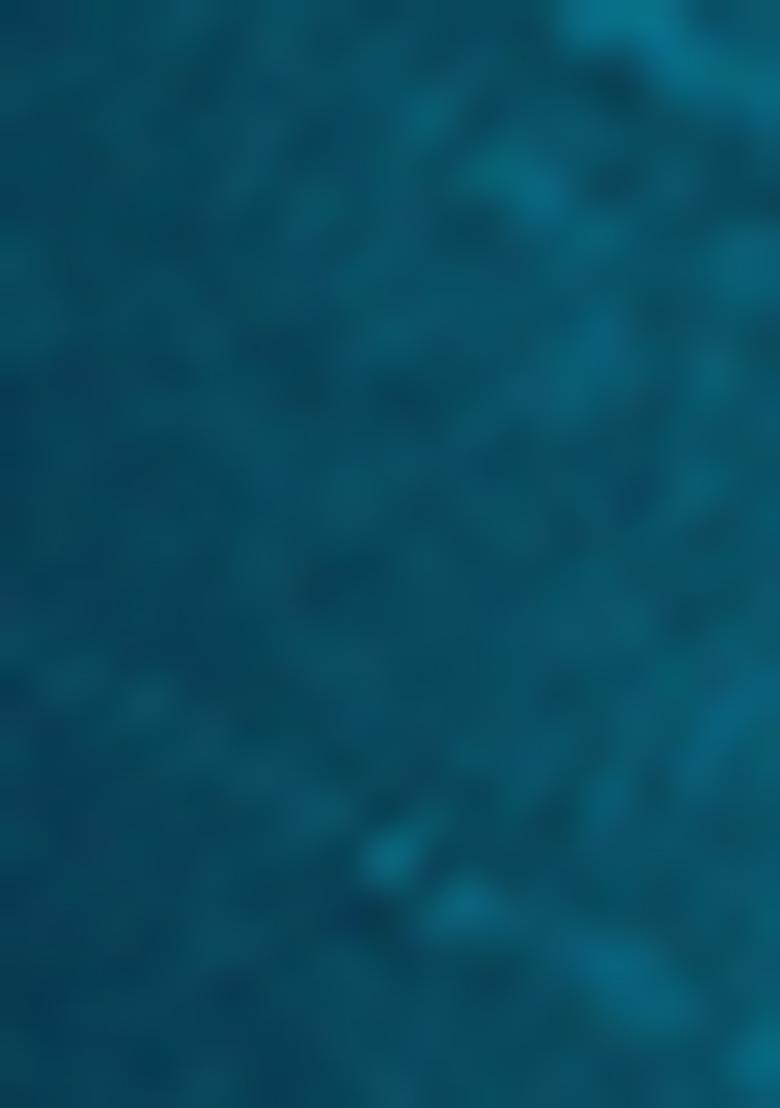 Morpeach Embrodery Work Silk Saree Set - Indya