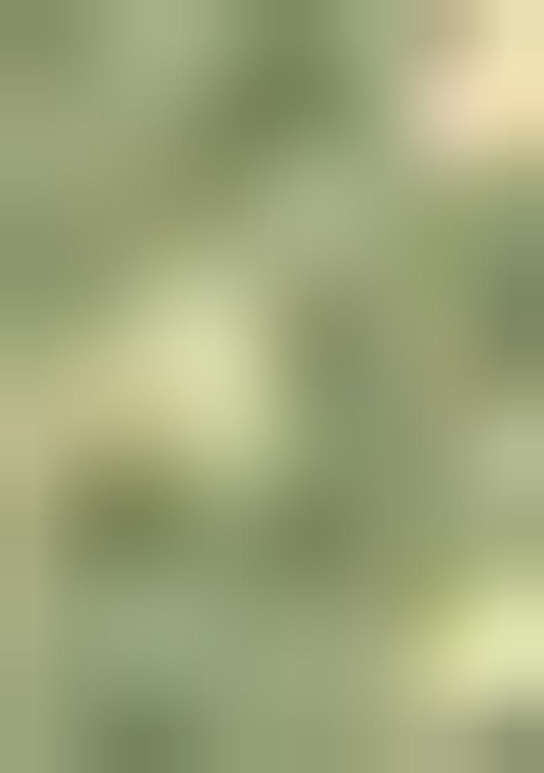 Dusty Mehandi Embrodery Work Silk Saree Set - Indya